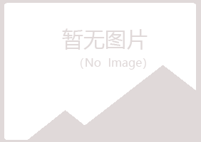 岚县山柏化学有限公司